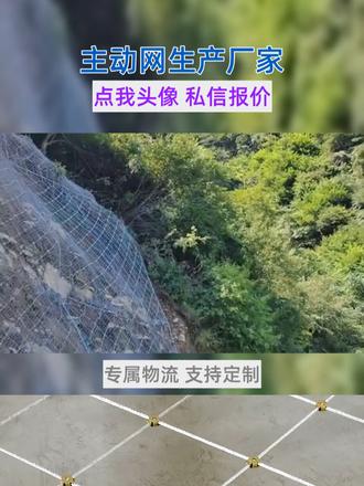 随州主动网